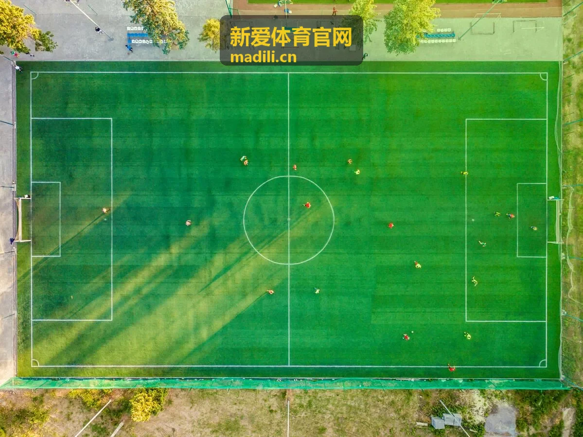 新爱体育官网排球赛事回放封面